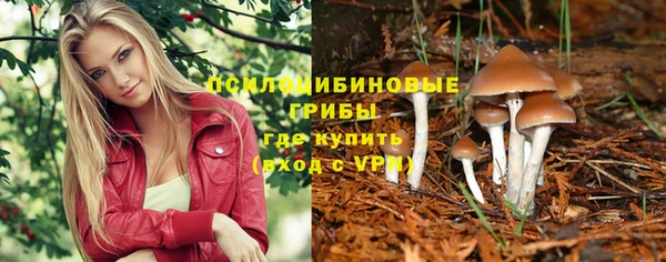 соль ск Майский
