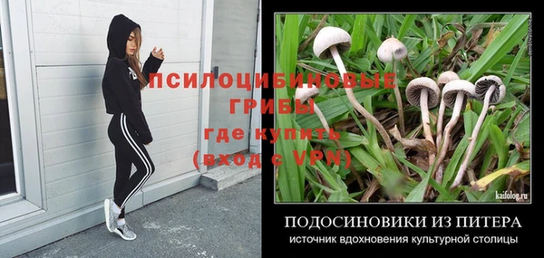 соль ск Майский